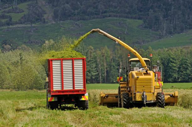 harvest